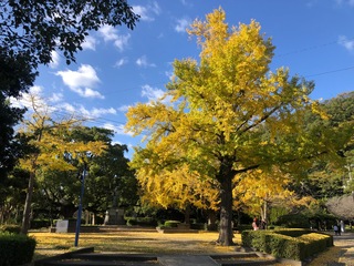徳島中央公園.jpg