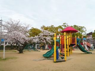 蔵本公園桜.jpg